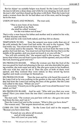 Personalized NIV The Daily Bible Large Print