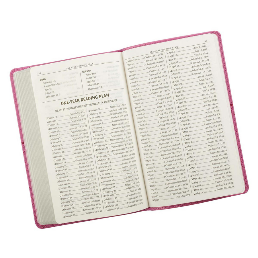 Personalized Bible Custom Text Your Name KJV Gift Edition Pink Faux Leather King James Version