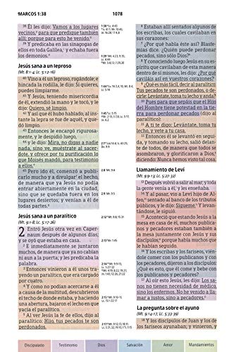 Personalized RVR 1960 Biblia de Estudio Arco Iris Multicolor tapa dura (Spanish Edition)