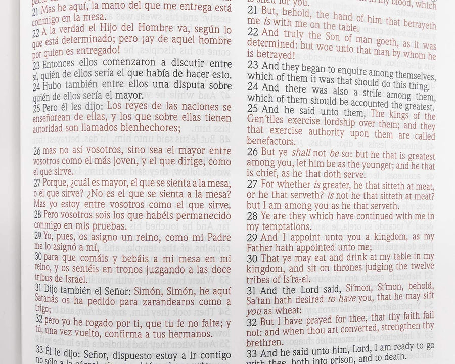 Personalized RVR 1960/KJV Biblia Bilingüe/Bilingual Bible Letra Grande