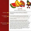 Load image into Gallery viewer, The Fruit of the Spirit Pamphlet
