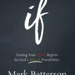 Load image into Gallery viewer, If Curriculum Kit: 4 Week Study - Mark Batterson
