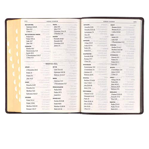 Personalized KJV Holy Bible Giant Print Full-Size Bible Dark Brown Faux Leather Bible