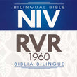 Load image into Gallery viewer, Personalized RVR 1960/NIV Bilingual Bible Index Imitation Leather New International Version
