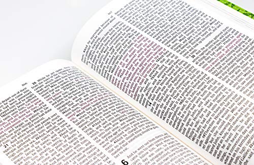 Personalized Bible KJV Holy Bible for Kids Imitation Leather Pink/Green