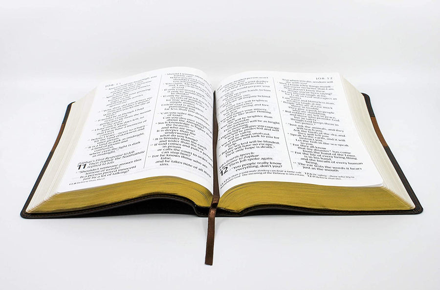 Personalized NLT Holy Bible Giant Print TuTone LeatherLike Brown/Tan