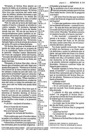 Personalized Santa Biblia NTV Edición zíper con referencias letra Grande (Spanish Edition)