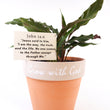 Load image into Gallery viewer, Furry Feather Calathea Live Plant in a &#39;Grow with God&#39; Ceramic Clay Planter
