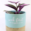 Load image into Gallery viewer, Tradescantia &#39;Albiflora&#39; Nanouk Live Plant in &quot;Seek First The Kingdom Of God&quot; Nursery Pot
