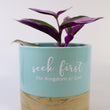 Load image into Gallery viewer, Tradescantia &#39;Albiflora&#39; Nanouk Live Plant in &quot;Seek First The Kingdom Of God&quot; Nursery Pot
