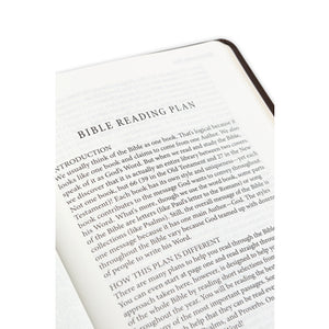 Personalized The Living Bible Large Print Edition TuTone Brown Leatherlike