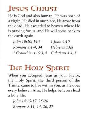 Bible Basics for New Believers Tract (Pack of 25)