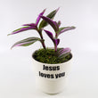 Load image into Gallery viewer, Tradescantia &#39;Albiflora&#39; Nanouk Plant in &quot;Jesus loves you&quot; Nursery Pot
