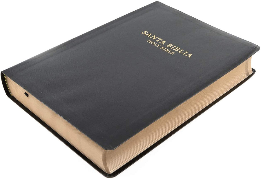 Personalized RVR 1960/KJV Biblia Bilingüe/Bilingual Bible Letra Grande