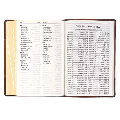 Personalized KJV Holy Bible Giant Print Full-Size Two-Tone Brown Faux Leather