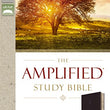 Load image into Gallery viewer, Personalized The Amplified Study Bible Leathersoft Purple Amplified Bible
