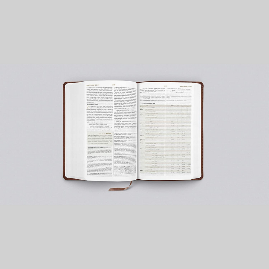 Personalized ESV Student Study Bible TruTone Chestnut