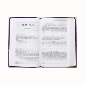 Personalized Custom Text Your Name The Passion Translation New Testament (2020 Edition) Large Print Violet Faux Leather