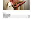 Load image into Gallery viewer, Ultimate Guide To Jesus, Revised &amp; Updated
